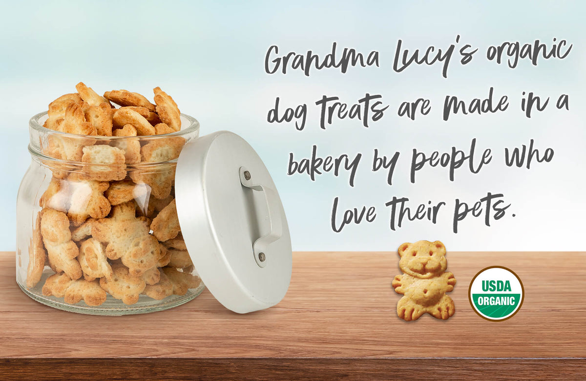 Grandma lucy's organic pumpkin dog treats sale