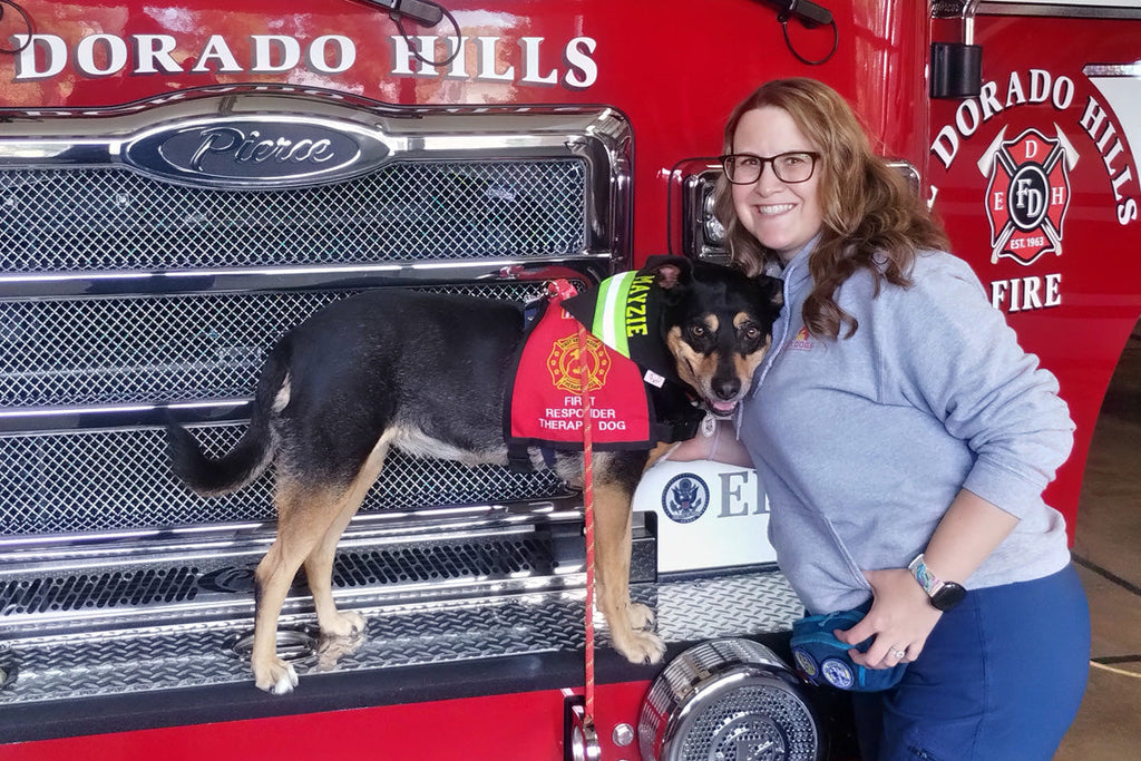 Meet First Responder Therapy Dog Mayzie