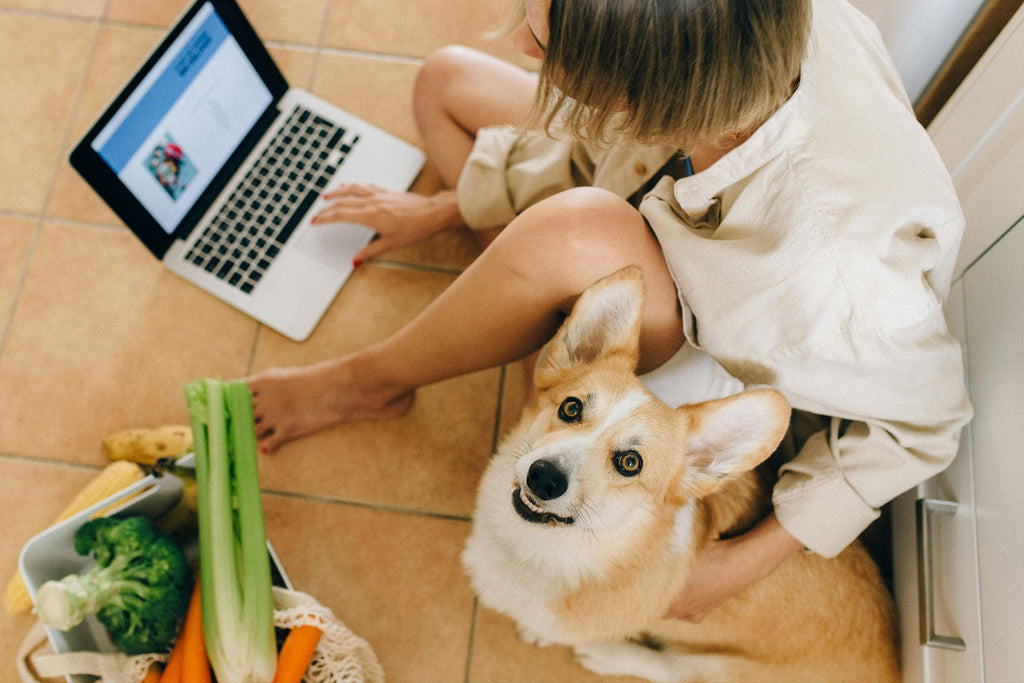 Should Dogs and Cats Eat Superfoods Too?